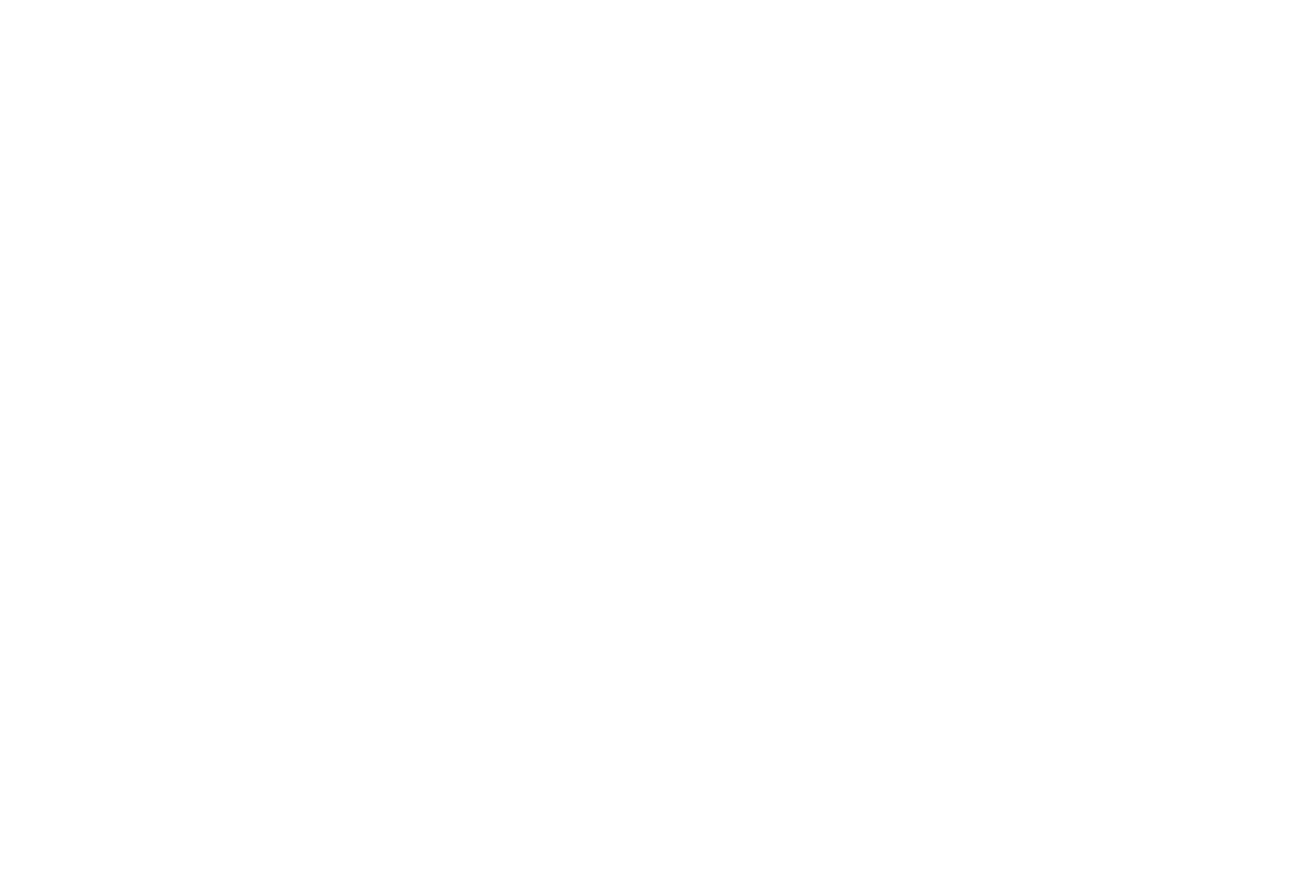 Bearded Travels logo